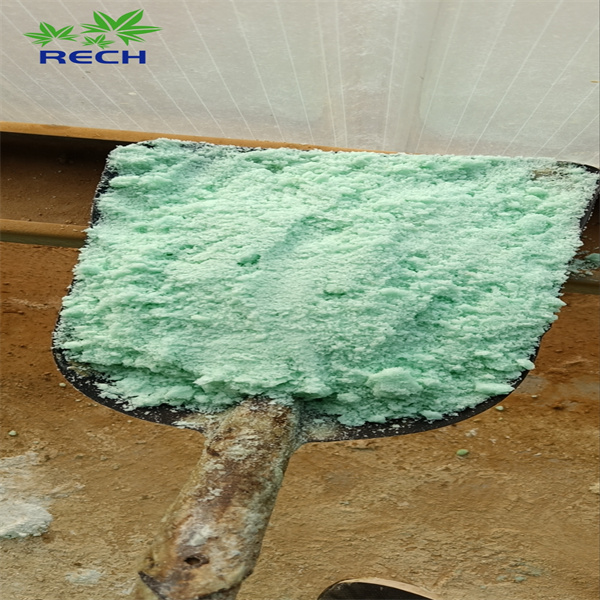 Safety of Ferrous Sulfate